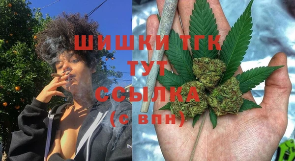 индика Баксан