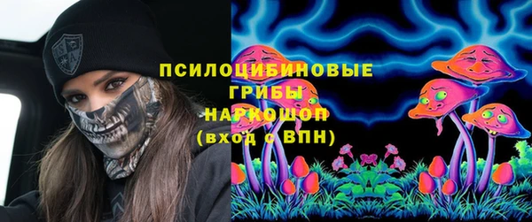 индика Баксан