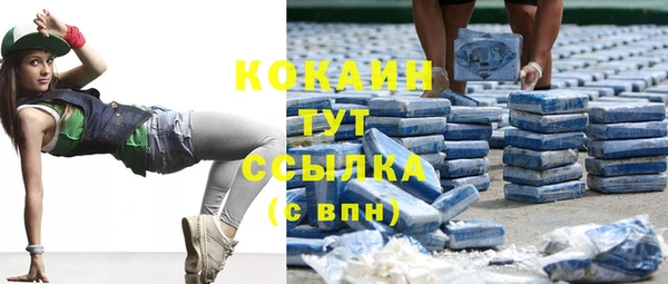 индика Баксан