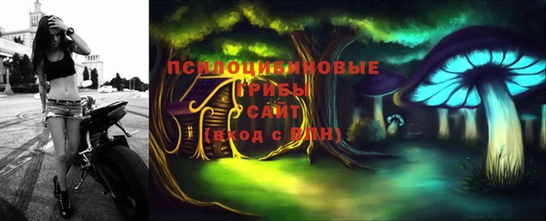 spice Белокуриха