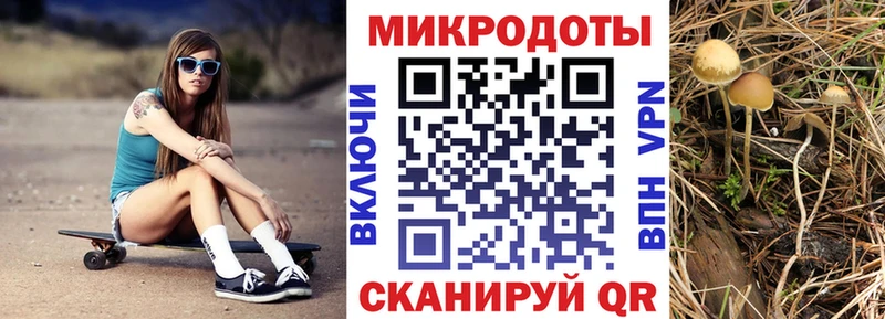 Купить  Солнечногорск  Галлюциногенные грибы мицелий 